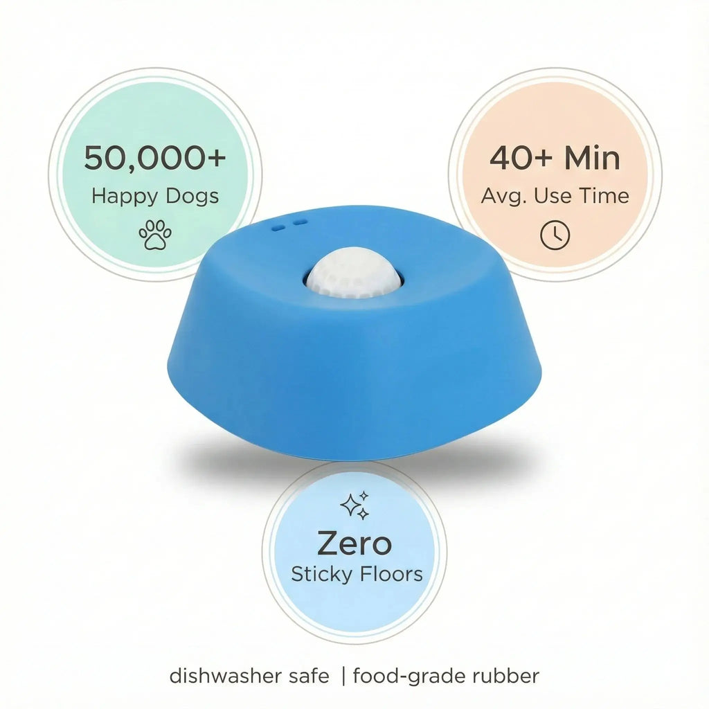 PawSafe™ Anti-Bloat Slow Feeder