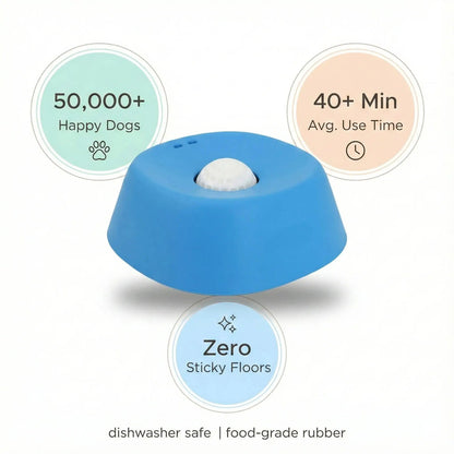 PawSafe™ Anti-Bloat Slow Feeder